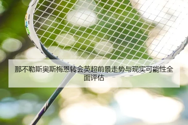 那不勒斯奥斯梅恩转会英超前景走势与现实可能性全面评估
